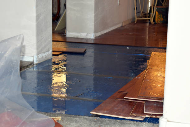 Professional Basement Water Removal technician working in Highland Park, MI