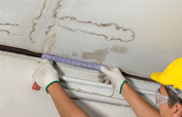 Reliable Basement Water Removal contractor in Highland Park, MI by Water Damage Irwin